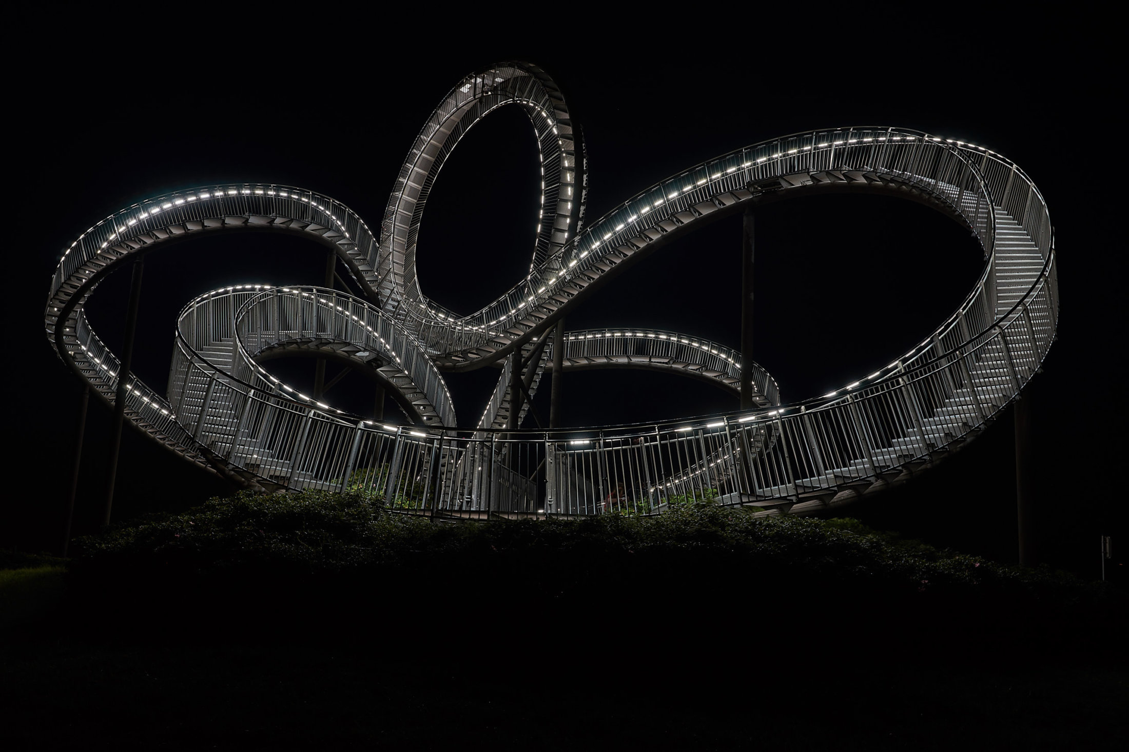 Tiger and Turtle #05